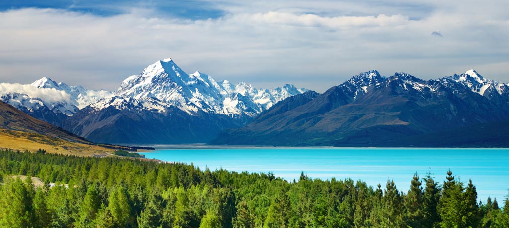 New Zealand Ski Resort Mt Cook Buy Property