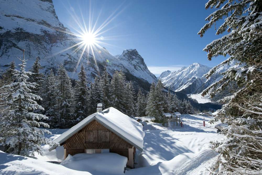 Mont Blanc Ski Resorts France Property for Sale